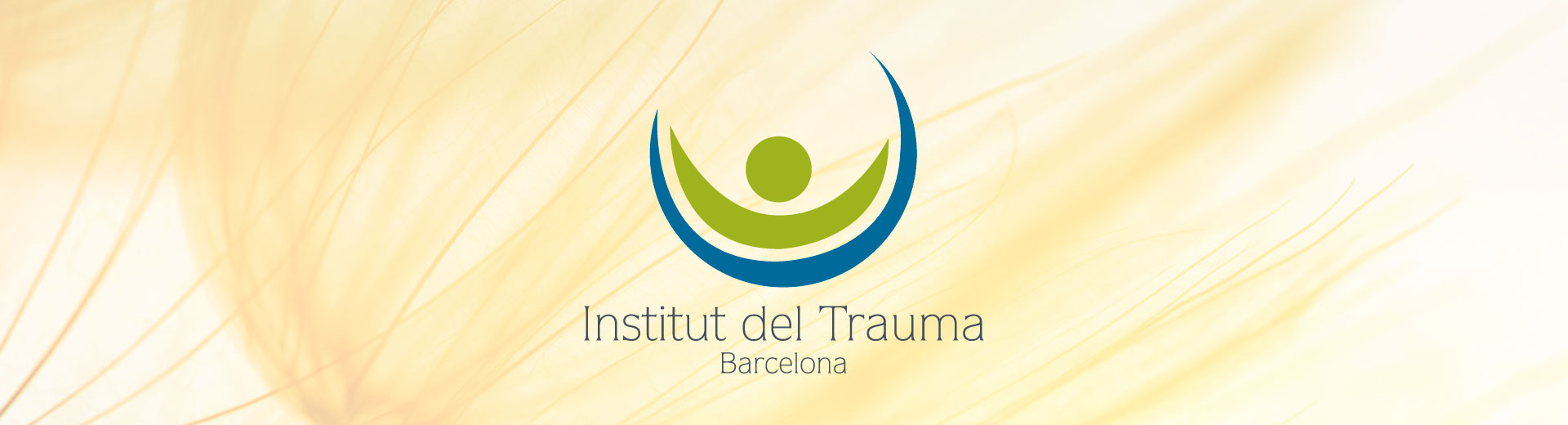 graphe-disseny-institut-trauma