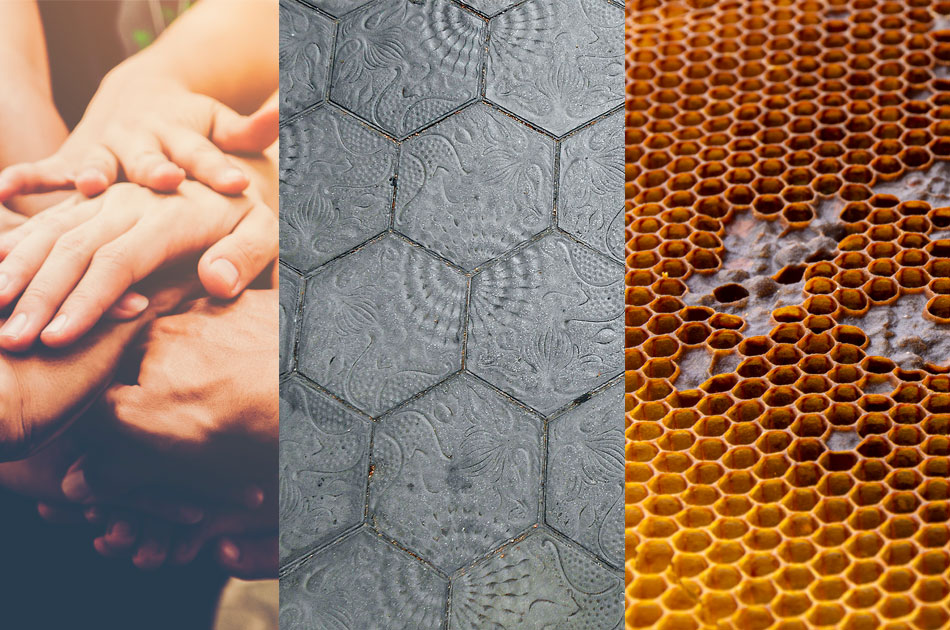 graphe-disseny-incorpora-techno-geometria-sagrada-marca