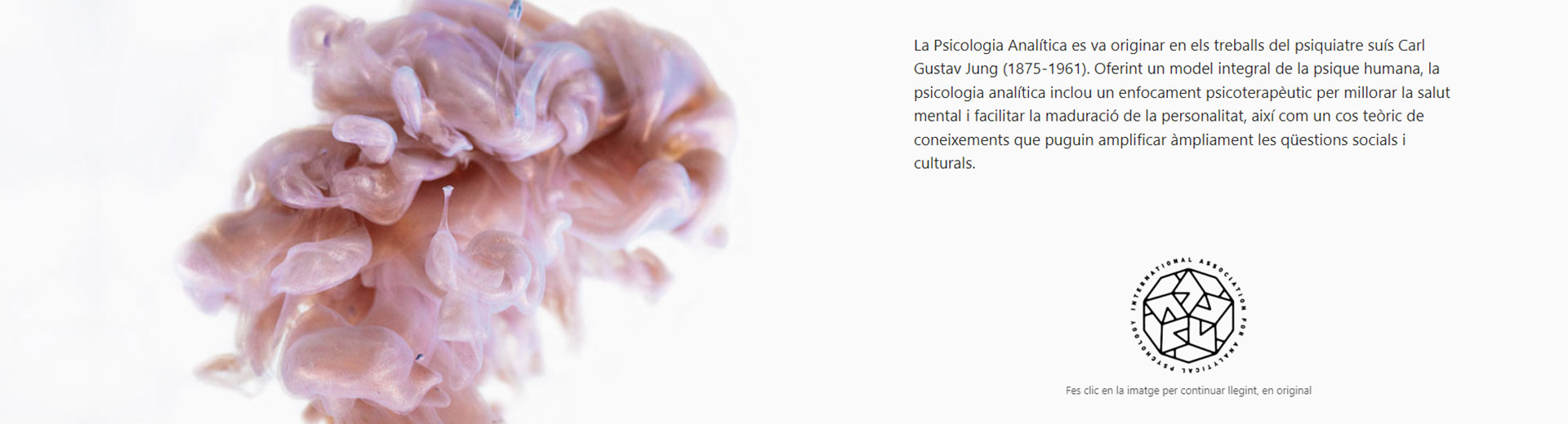 graphe-disseny-institut-psicologia-analitica-jung-web