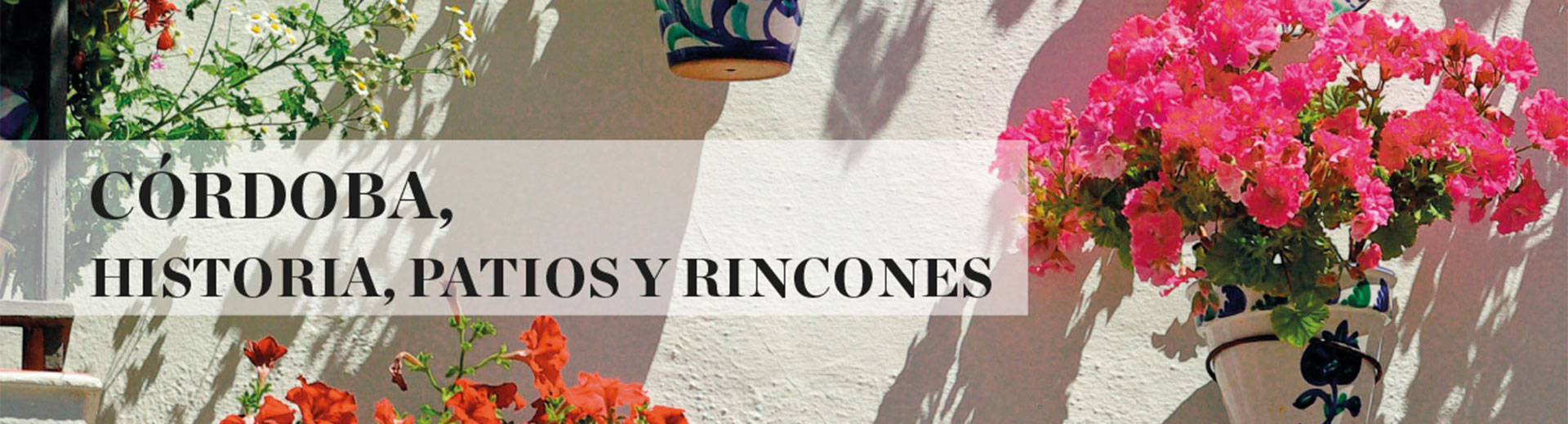 graphe-disseny-rsviajes-cabecera