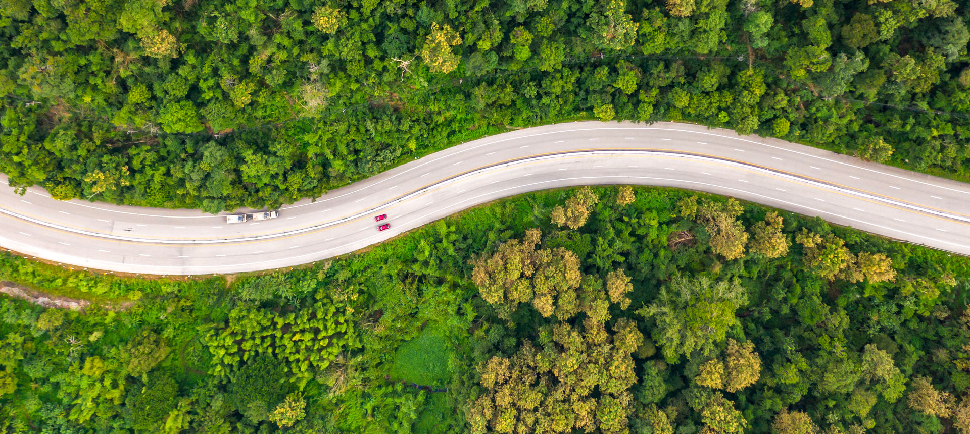 graphe-disseny-equipo-alianza